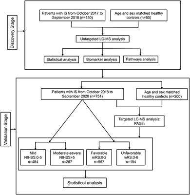 Phenylacetylglutamine, a Novel Biomarker in Acute Ischemic Stroke